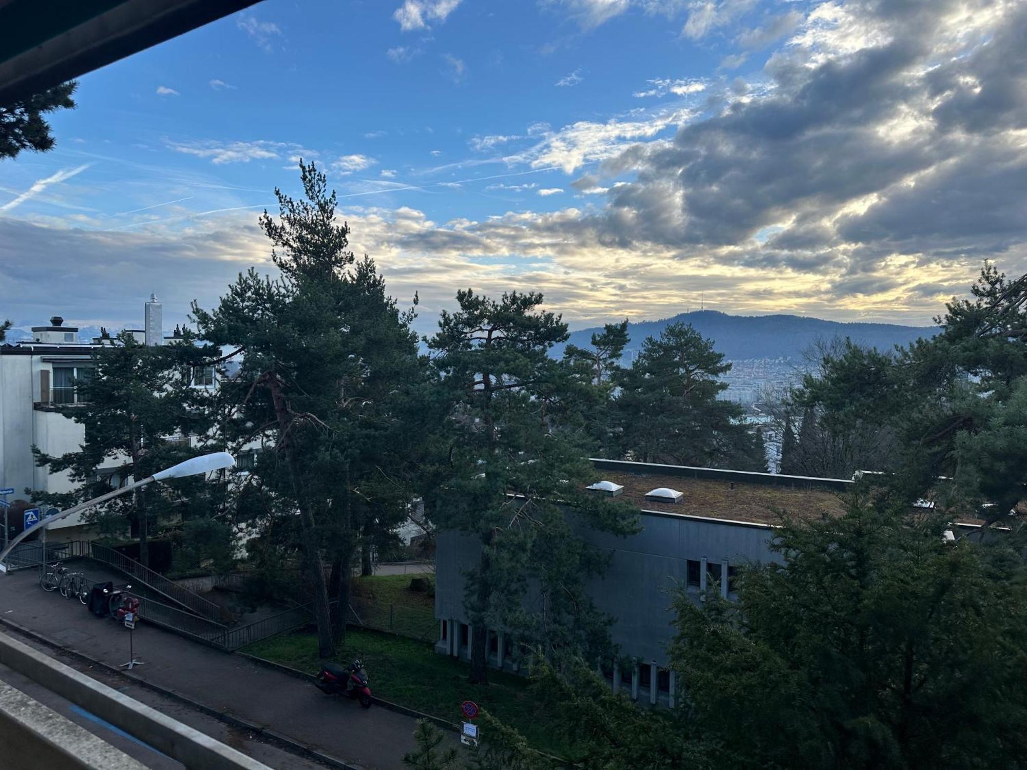 Lovely Room, 15 Min From Center, Mountain View Zurich Exterior photo