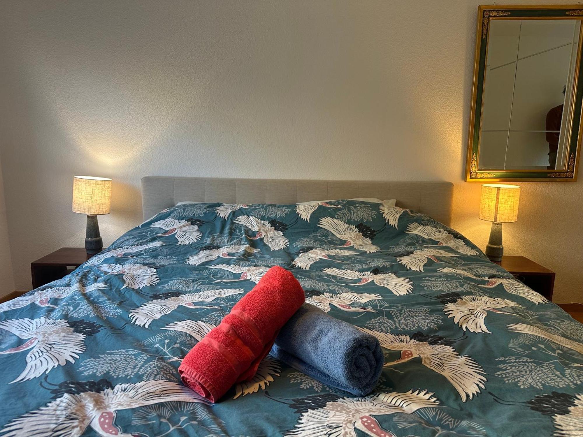 Lovely Room, 15 Min From Center, Mountain View Zurich Exterior photo