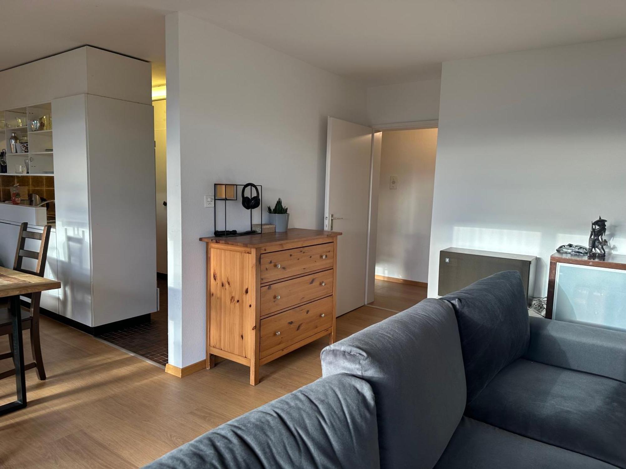 Lovely Room, 15 Min From Center, Mountain View Zurich Exterior photo