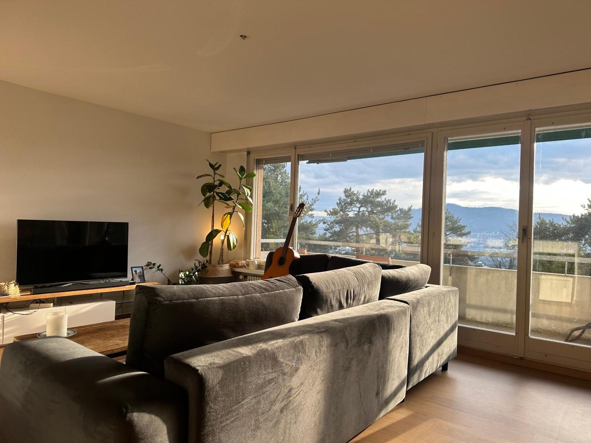 Lovely Room, 15 Min From Center, Mountain View Zurich Exterior photo
