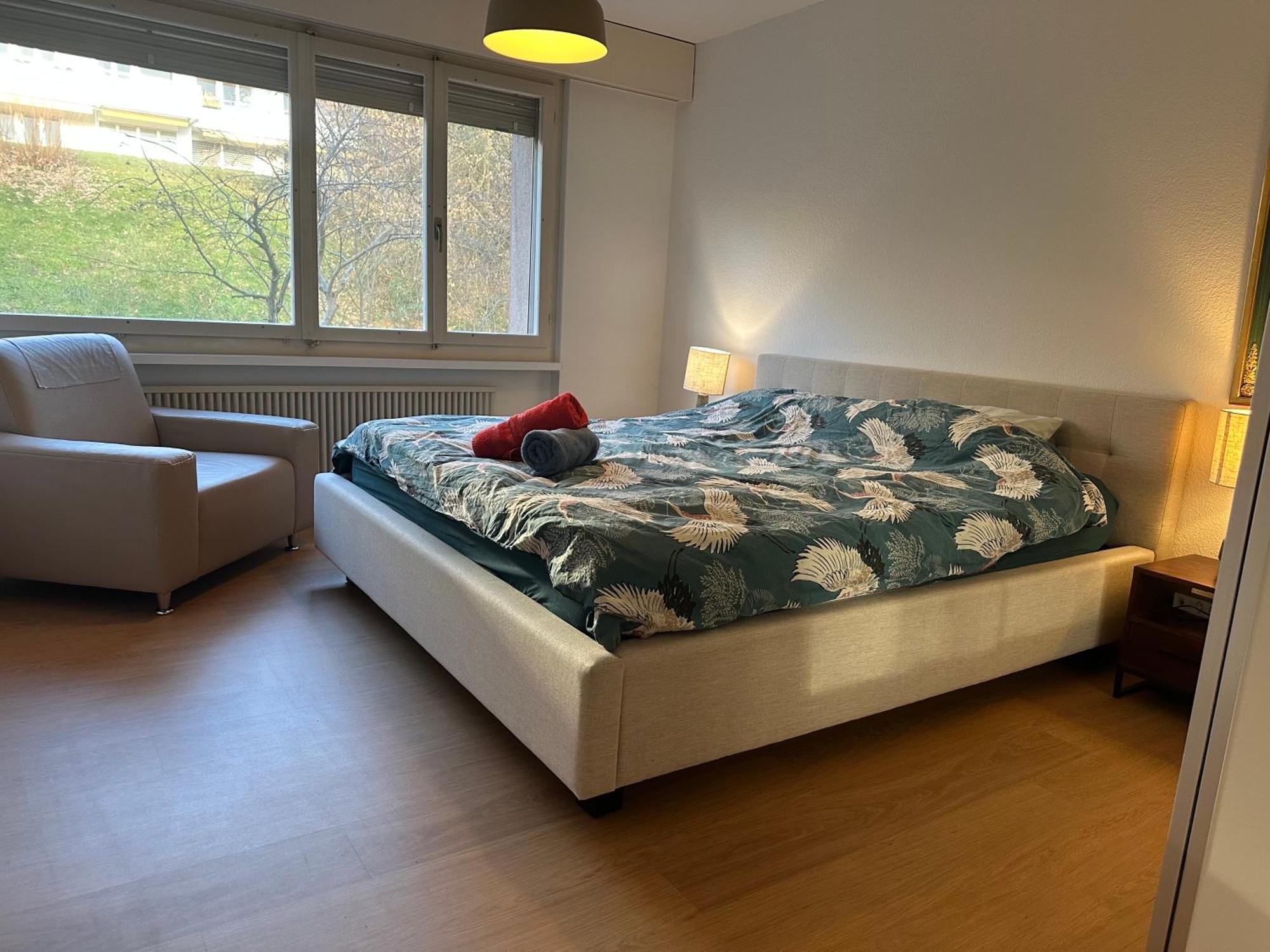 Lovely Room, 15 Min From Center, Mountain View Zurich Exterior photo